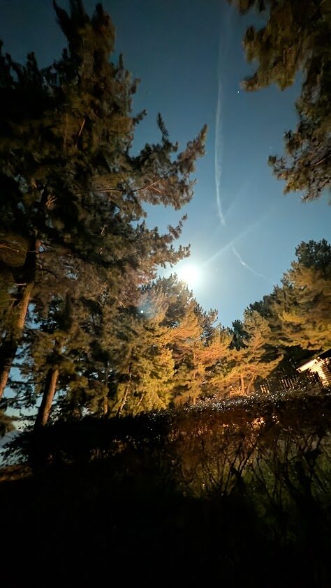 Google Pixel 10 Pro XLで夜景モード