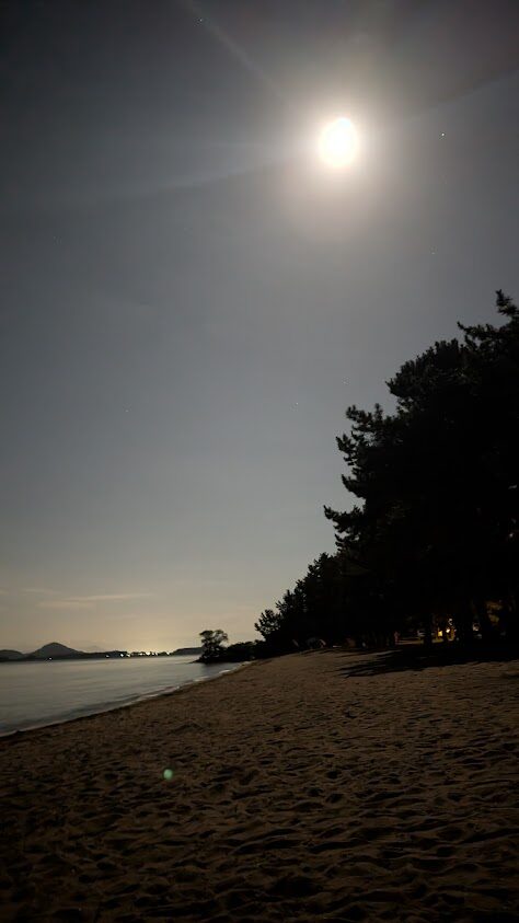 Google Pixel 10 Pro XLで夜景モード