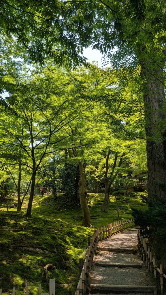 特別名勝 兼六園