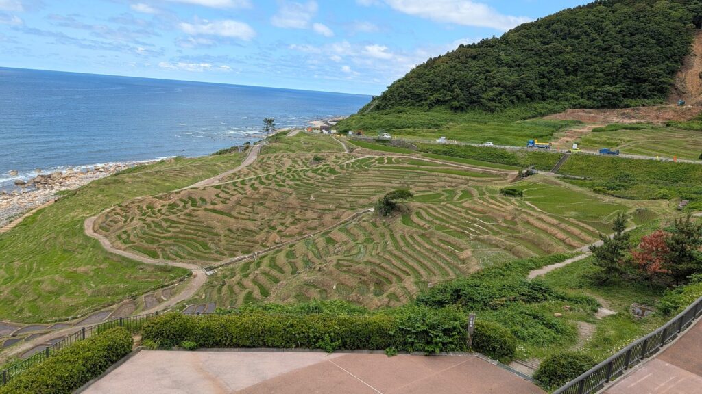 白米千枚田