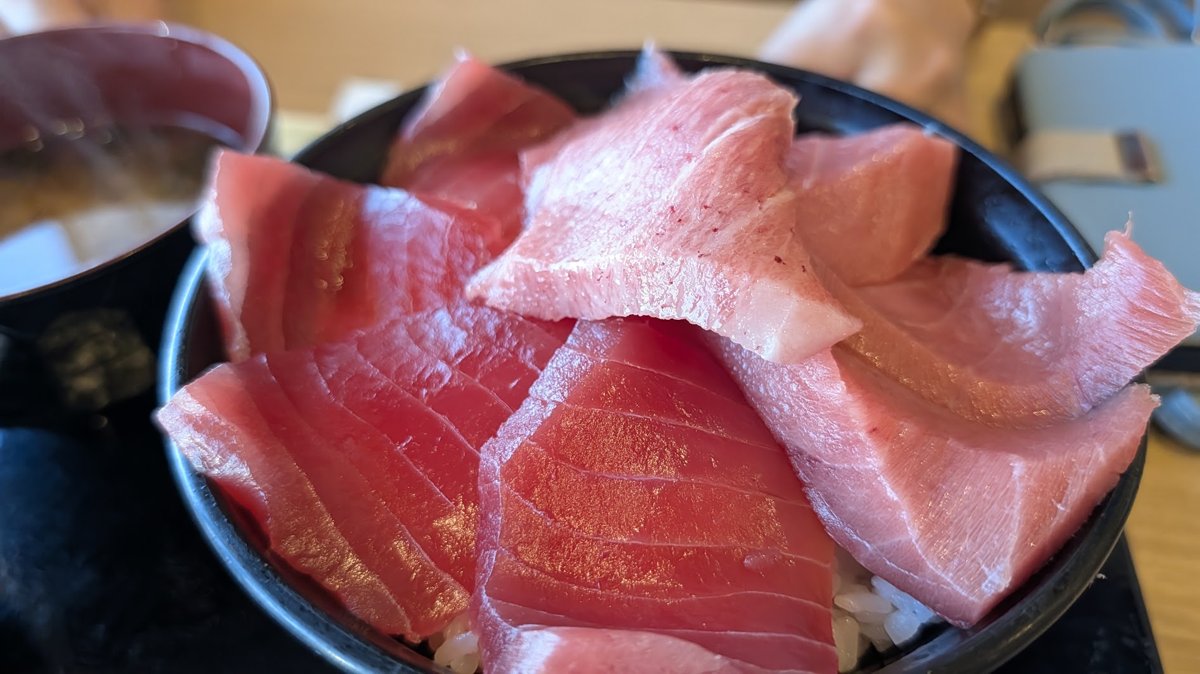 赤身と中トロがのったまぐろ丼