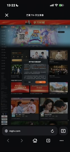 APTVの内蔵ブラウザで開いた芒果TV