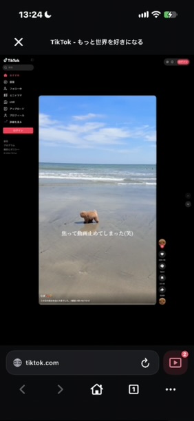 APTVの内蔵ブラウザでTikTokの動画を再生しているところ